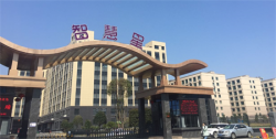 祝賀義烏市智慧星玩具有限公司順利通過ICTI認證